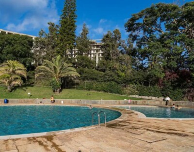 Urso Tigre Apartment