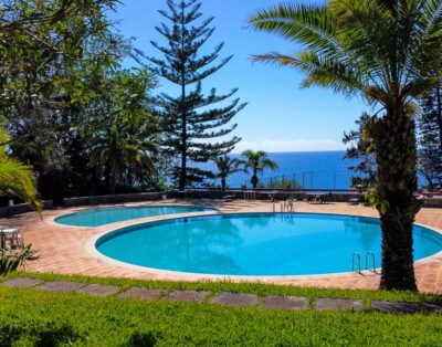 Urso Tigre Apartment