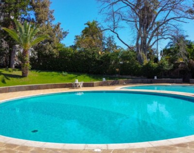 Urso Tigre Apartment