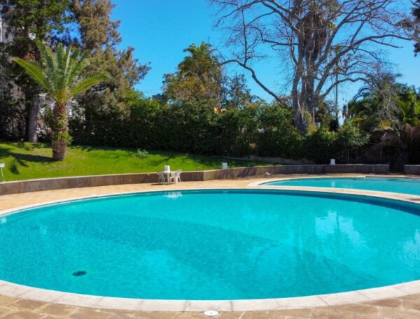 Urso Tigre Apartment