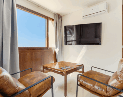 Urso Tigre Apartment