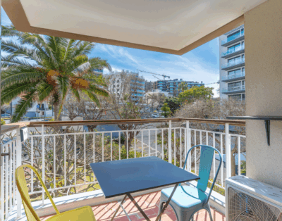 Urso Tigre Apartment